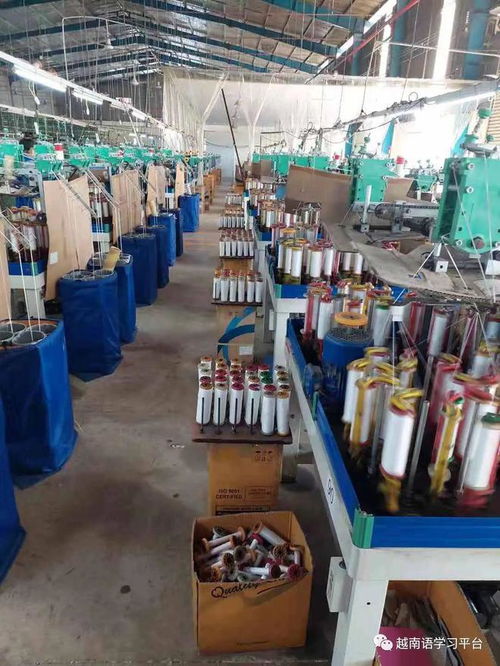 越南平陽省服裝輔料工廠 專業(yè)生產針織松緊帶 鞋帶 提花帶等產品